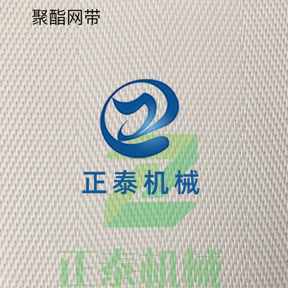 四川聚酯網帶